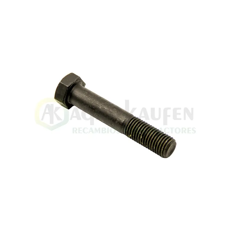 TORNILLO 20X110 8.8 TOR20X110           