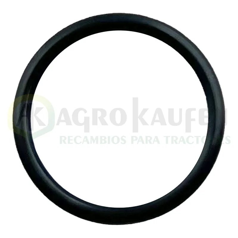 JUNTA TORICA DISTRIBUIDOR FIAT 48971               