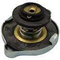 TAPON RADIADOR MASSEY FERGUSON 135 147 248 24850020            