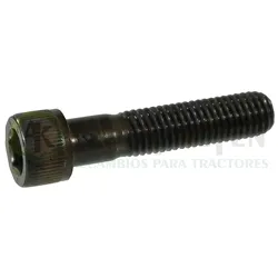 TORNILLO ALLEN 14X60 8.8 CABEZA REDONDA TORA14X60           