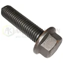 TORNILLO 12X45 Original 19M8702             