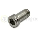 TORNILLO MACHO F3015 806V                