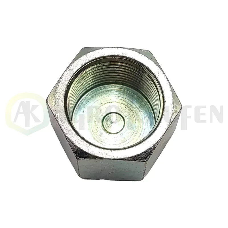 TAPÓN CIEGO HEMBRA 3/4 BSP HID308012