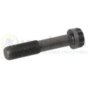 TORNILLO BIELA AGK Original R74195              