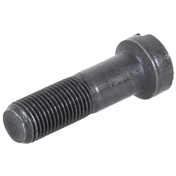 TORNILLO DIFERENCIAL TRASERO NEW HOLLAND 81716988-60         