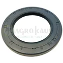 RETEN GRUPO DELANTERO EBRO 6100 6128 -60089523-R1        