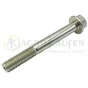 TORNILLO 10X80 Original 19M7810             