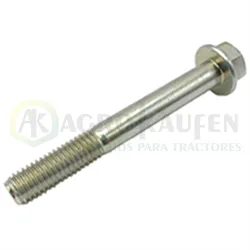 TORNILLO 10X80 Original 19M7810             